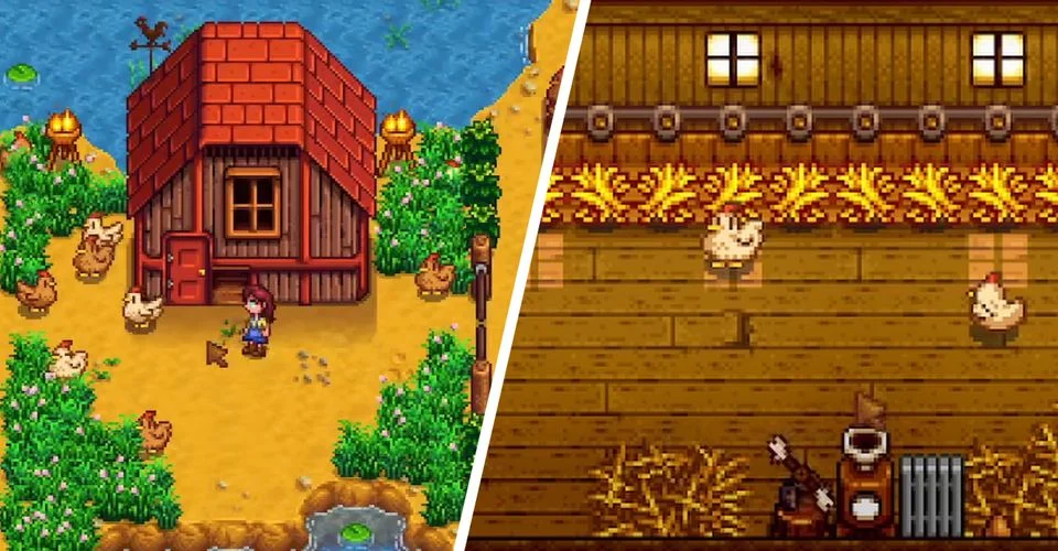 Как кормить цыплят в Stardew Valley