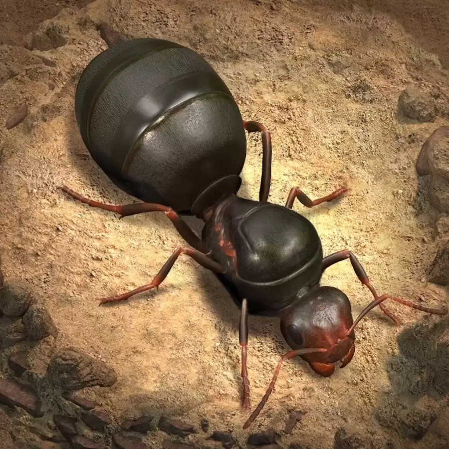 The Ants Underground Kingdom FAQ