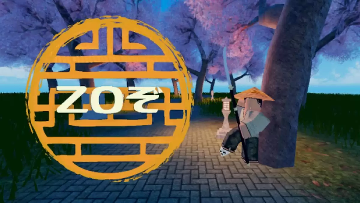 КОДЫ ZO