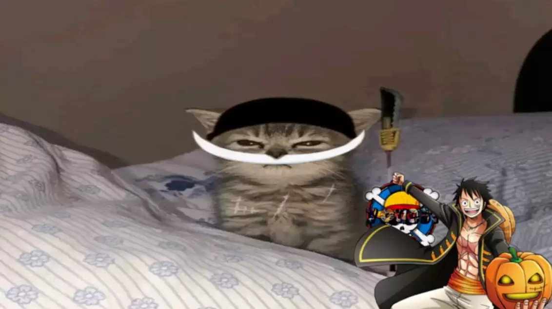 Коды Cat Piece - бесплатные гели и многое другое