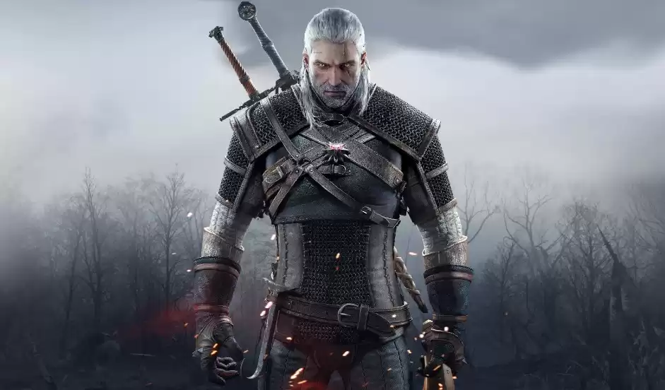 The Witcher Ведьмак игра