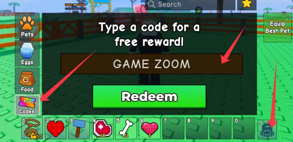 Where to enter Catch And Tame codes?