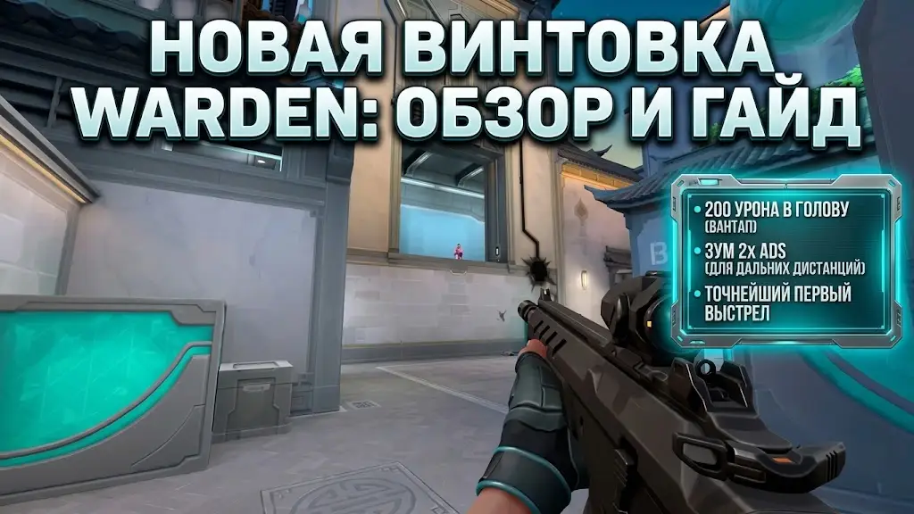 Обзор штурмовой винтовки Warden в Valorant характеристики и место в мета игре