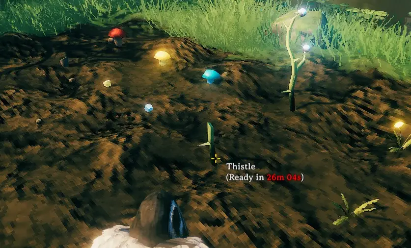 Plant Everything