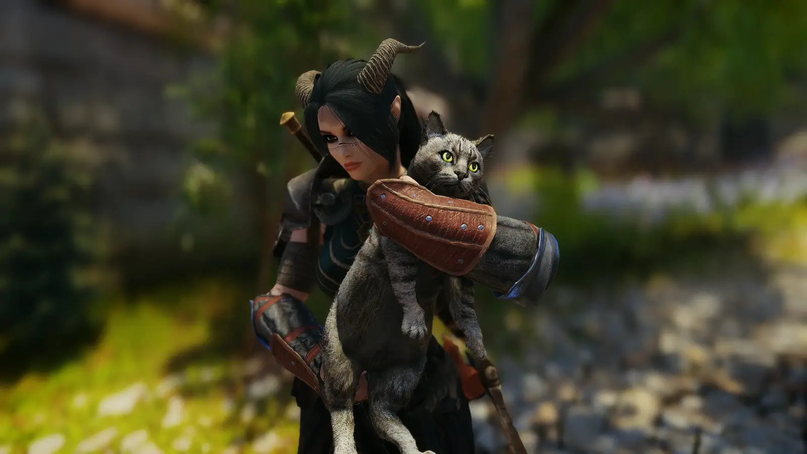 Мод для Skyrim позволяет носить котиков и цыплят на руках